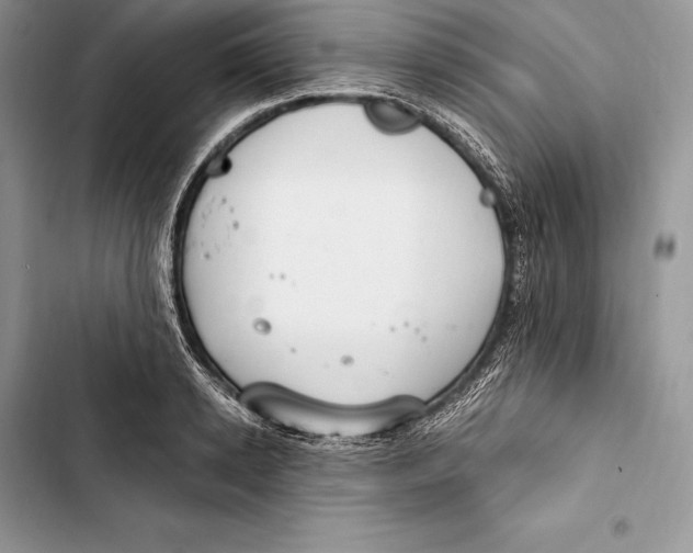 X0000103500942200810031625