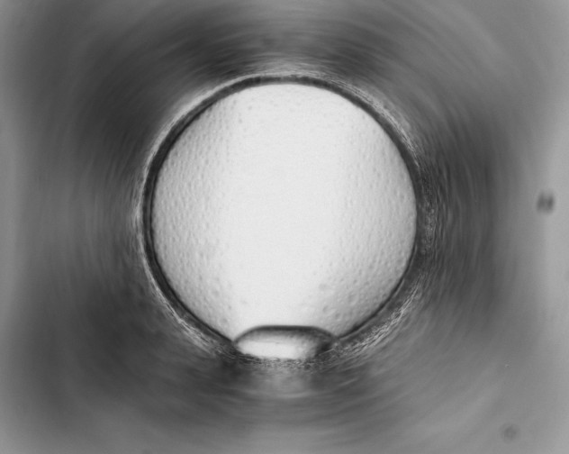 X0000103500943200810031625