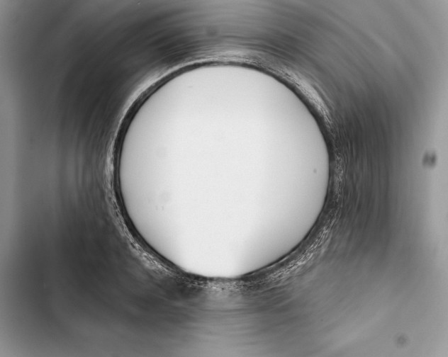 X0000103500944200810031625