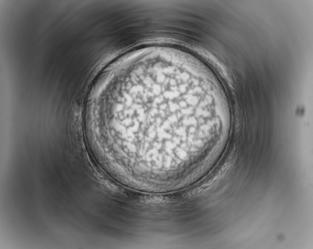 X0000103500945200810031625