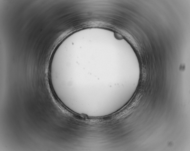 X0000103500946200810031625