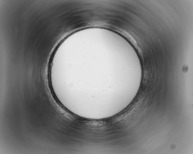 X0000103500947200810031625