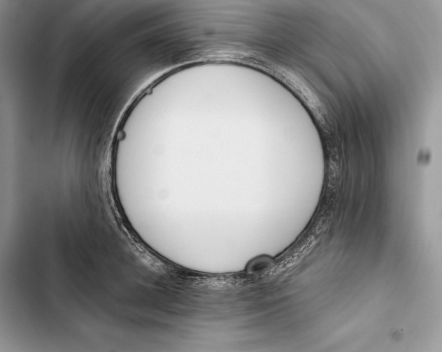 X0000103500948200810031625