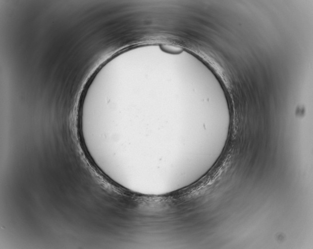 X0000103500949200810031625