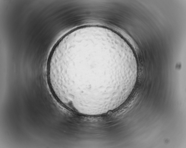 X0000103500951200810031625