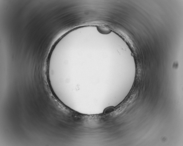 X0000103500952200810031625