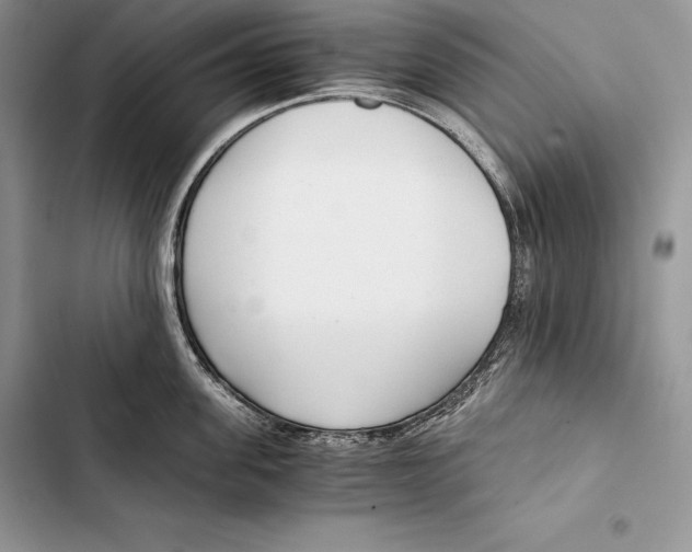 X0000103500955200810031625