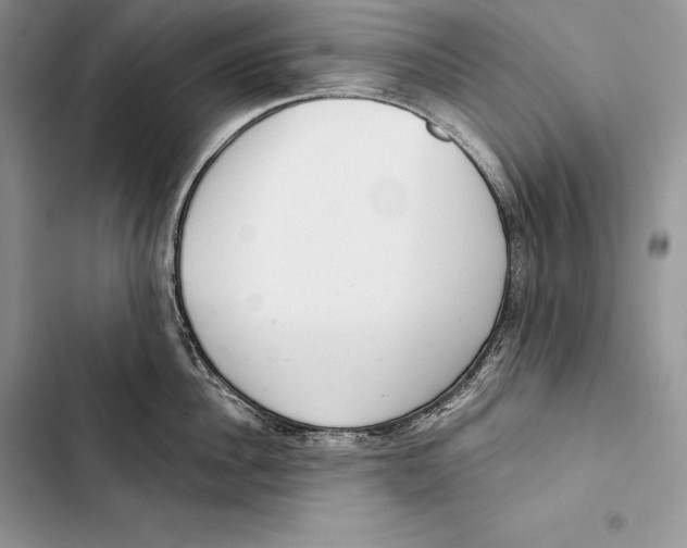 X0000103500956200810031625