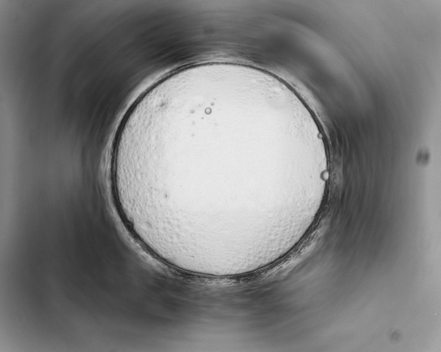 X0000103500957200810031625