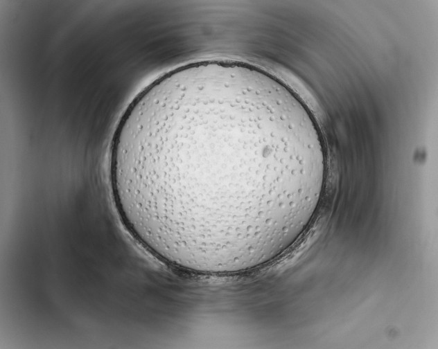 X0000103500958200810031625