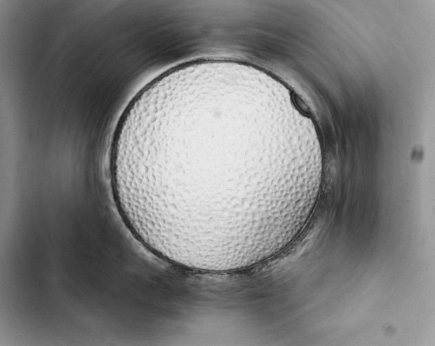 X0000103500959200810031625