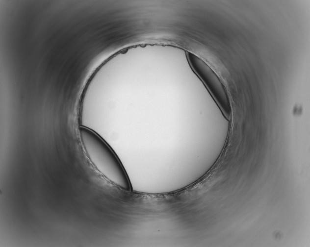 X0000103500960200810031625