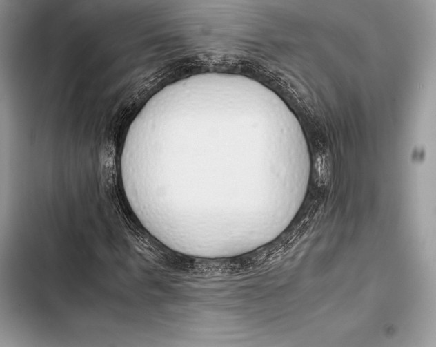 X0000103500963200810031624