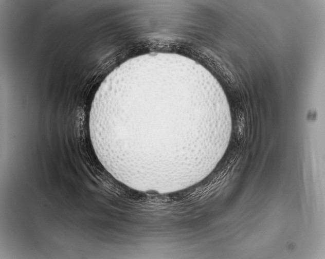 X0000103500964200810031624