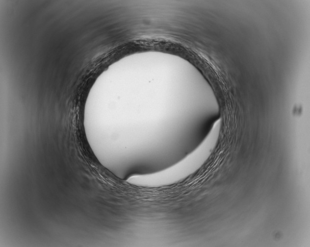 X0000103500965200810031624