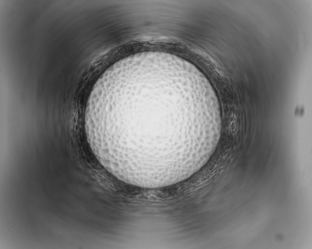 X0000103500966200810031624