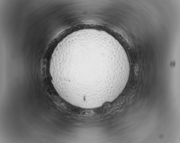 X0000103500968200810031624