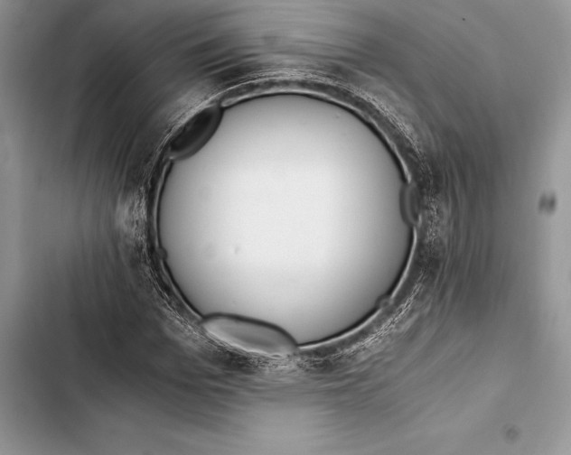 X0000103500969200810031624