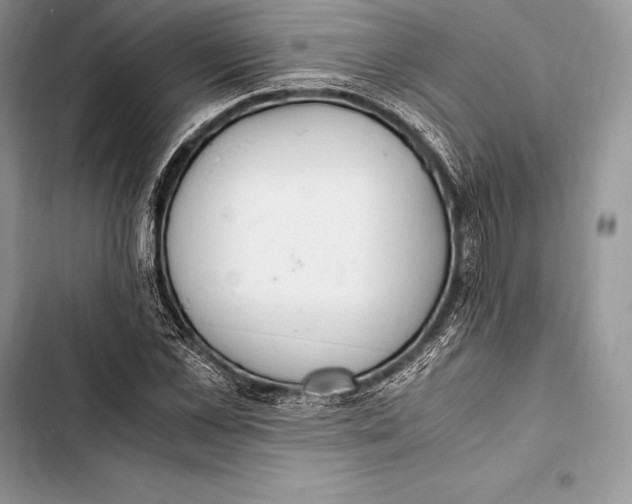 X0000103500973200810031624