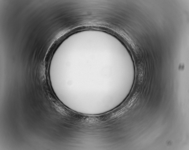 X0000103500974200810031624