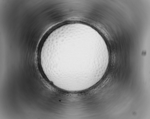 X0000103500976200810031624