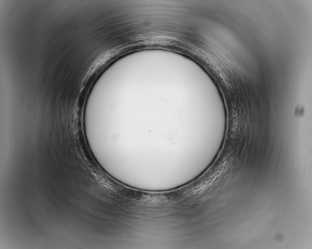 X0000103500978200810031624