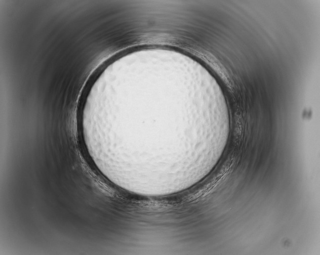 X0000103500980200810031624