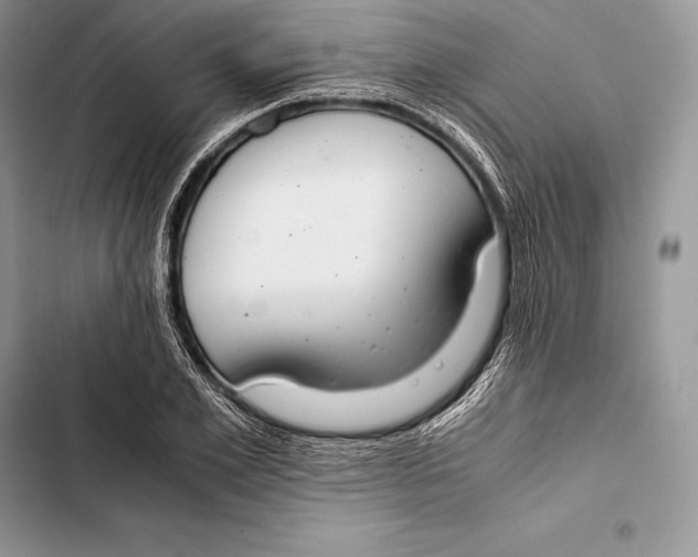 X0000103500981200810031624