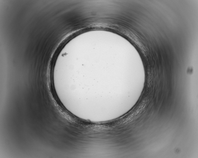 X0000103500984200810031624