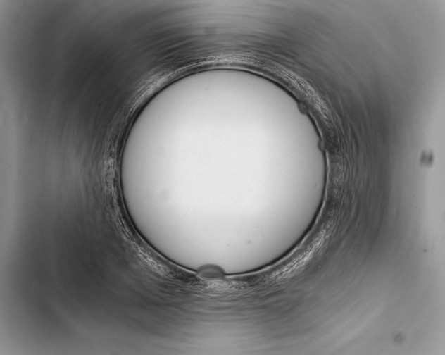 X0000103500985200810031624