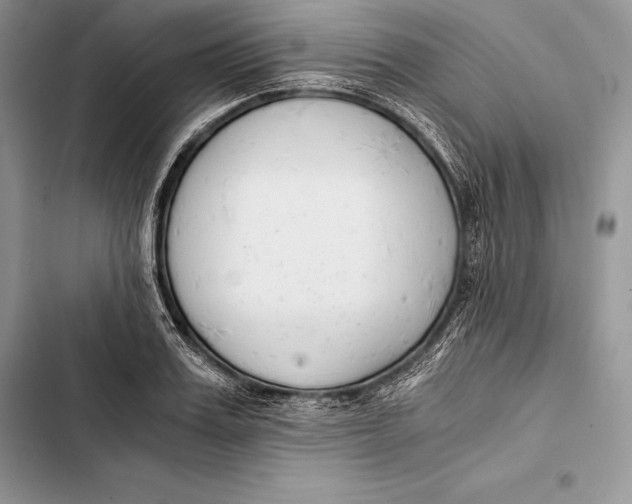 X0000103500987200810031624