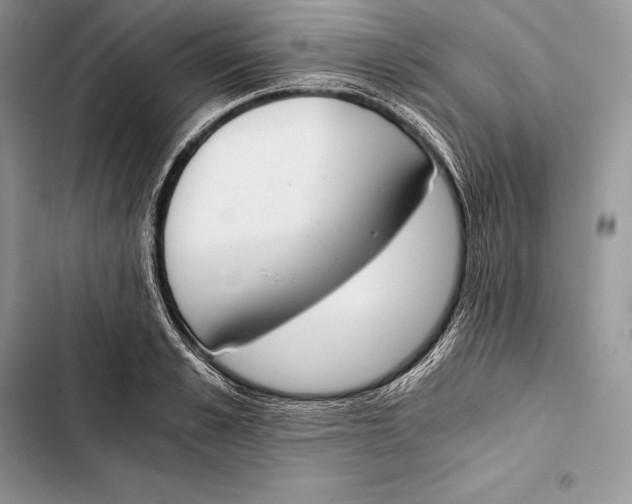 X0000103500989200810031624