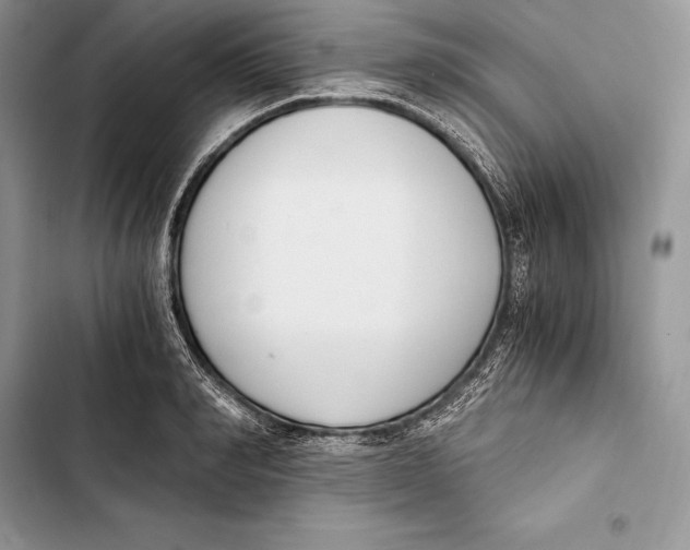 X0000103500990200810031624