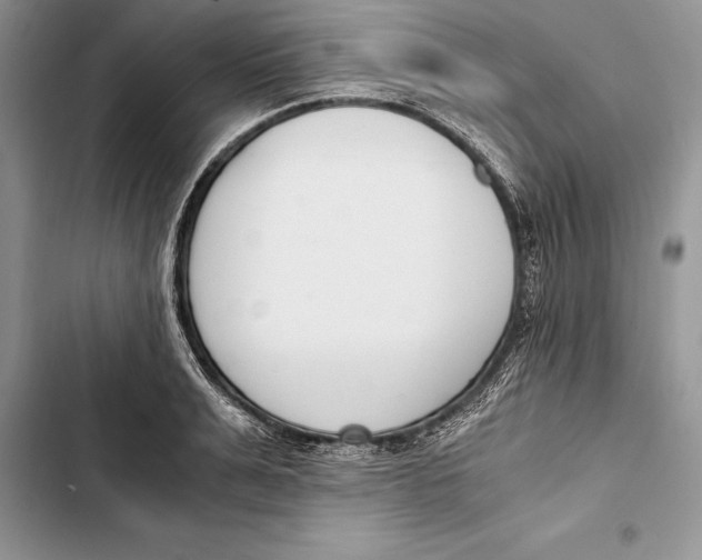 X0000103500991200810031624