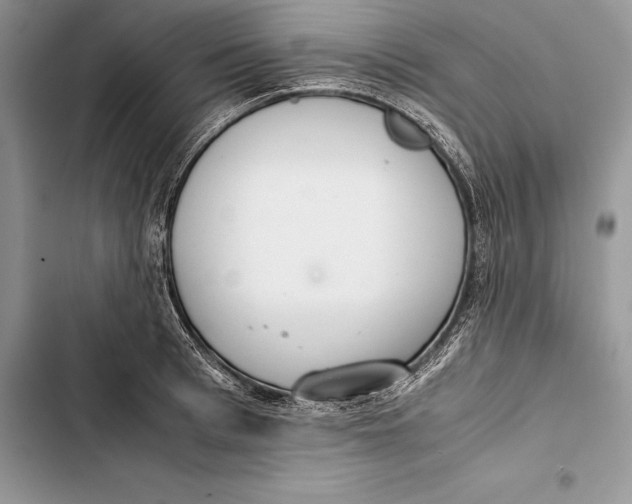 X0000103500993200810031624