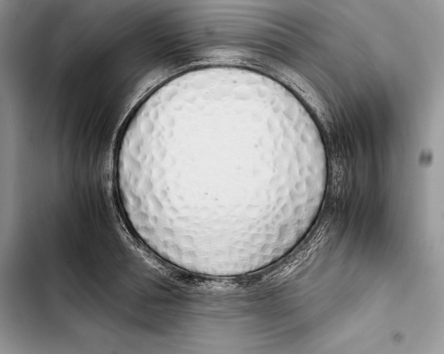 X0000103500994200810031624