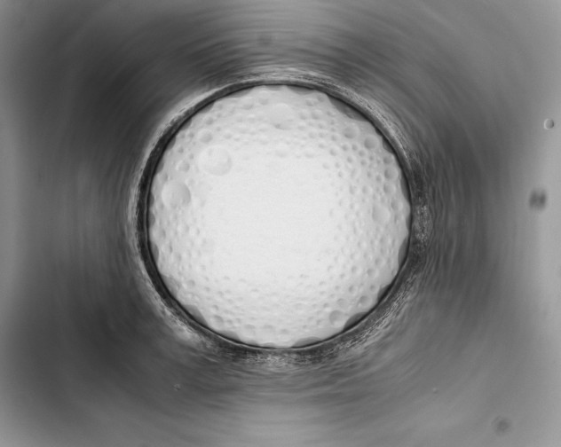 X0000103500995200810031624