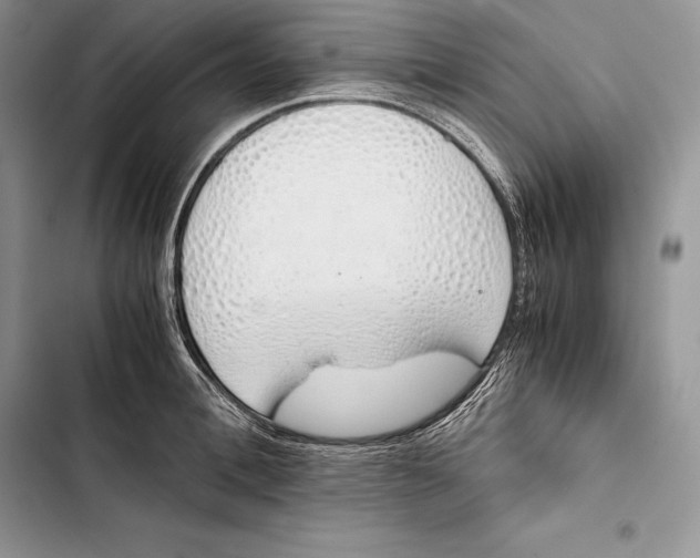 X0000103500996200810031624