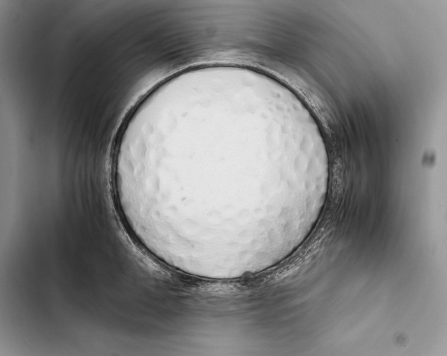 X0000103500998200810031624