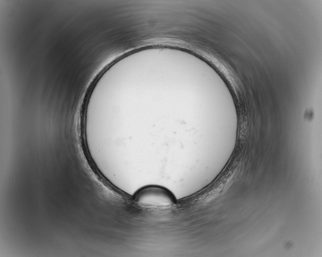 X0000103500999200810031624