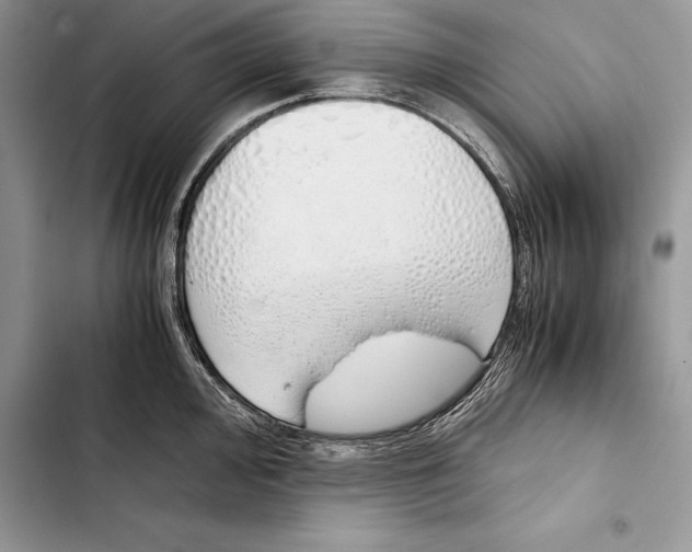 X0000103501000200810031624