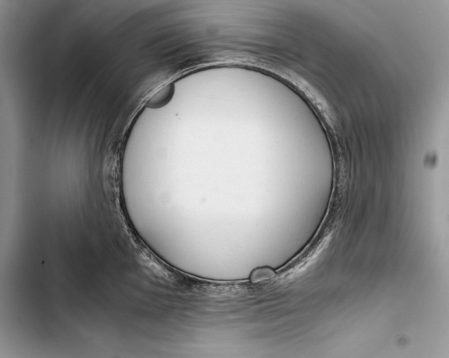 X0000103501001200810031624