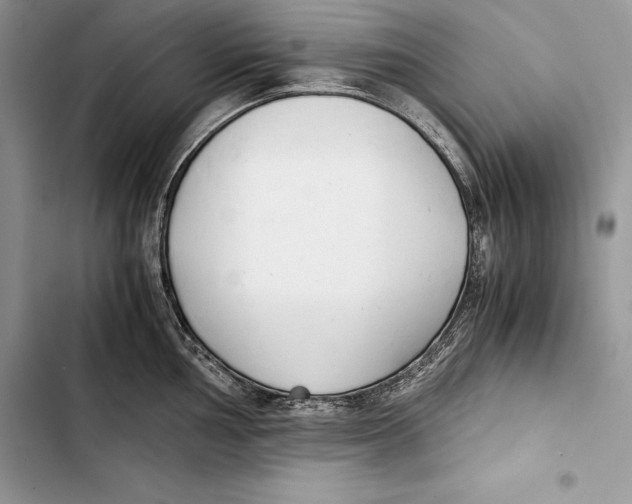 X0000103501002200810031624