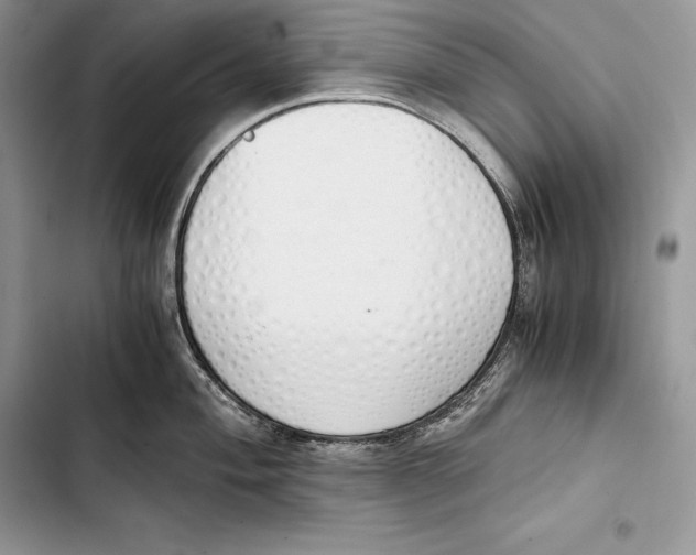 X0000103501004200810031624