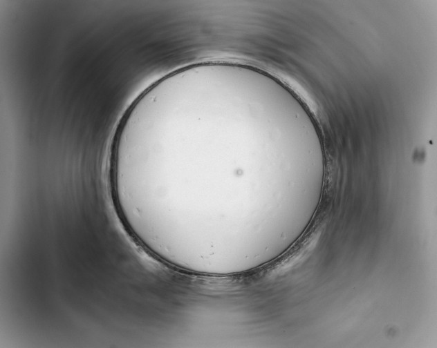 X0000103501007200810031624