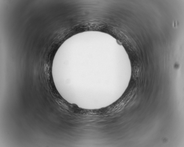 X0000103501010200810031623