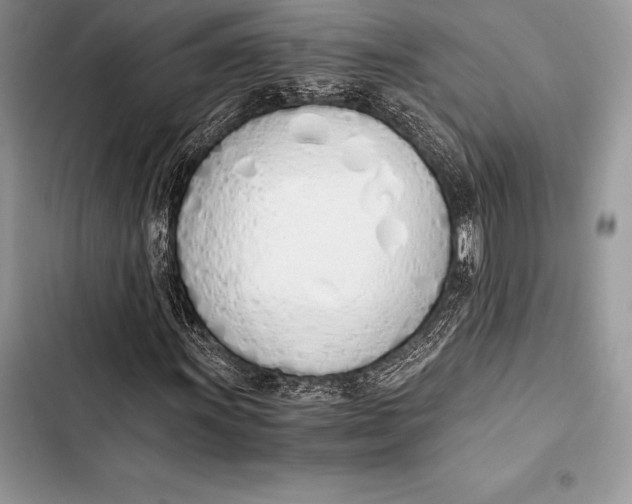 X0000103501011200810031623