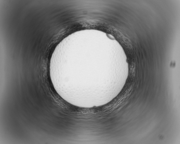 X0000103501012200810031623