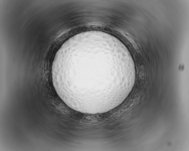 X0000103501015200810031623