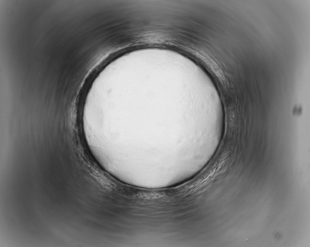 X0000103501023200810031623